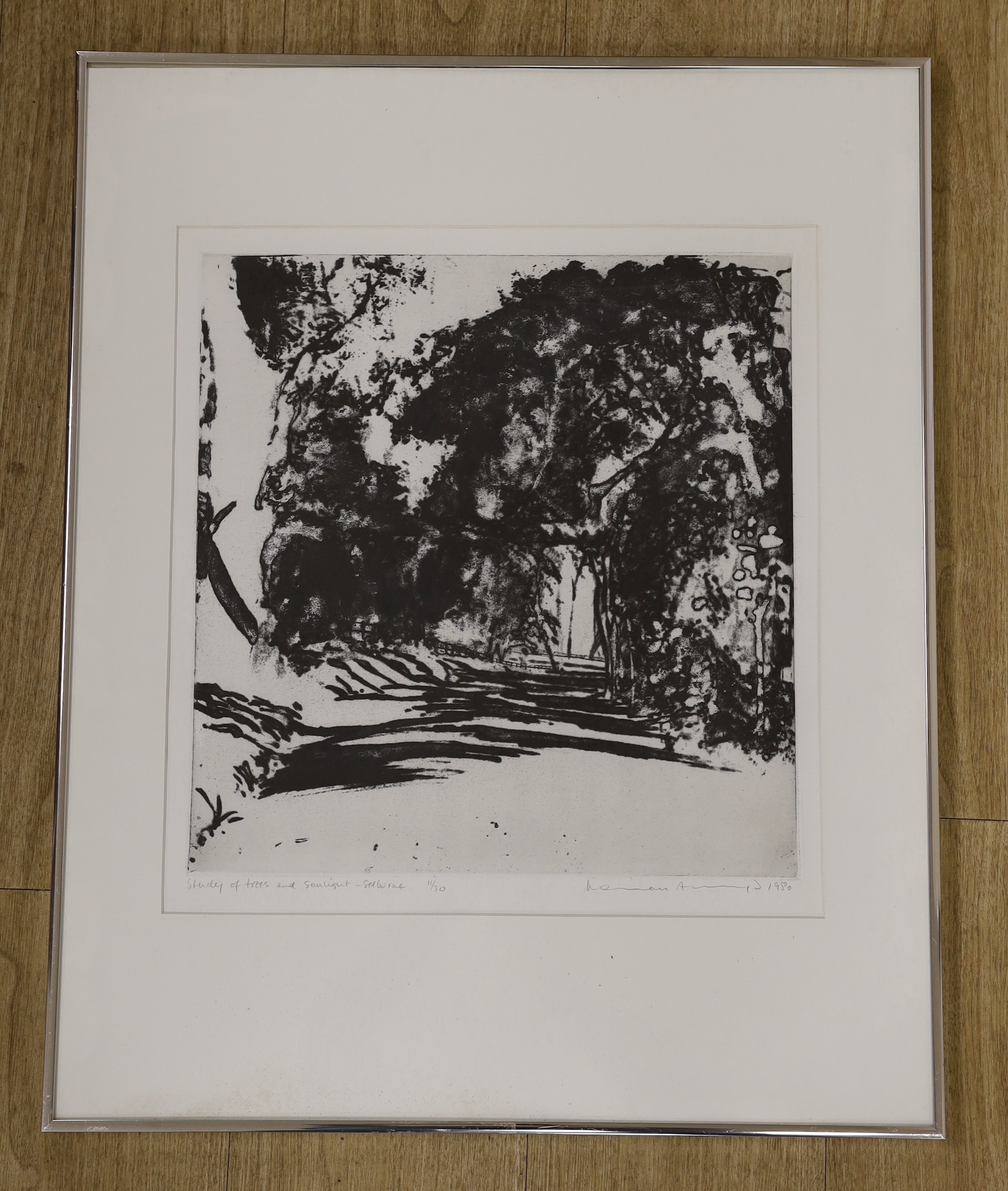 Norman Ackroyd (b.1938-), etching and aquatint, 'Study of trees and sunlight - Selborne', signed in pencil and dated 1980, 11/30, 43 x 40cm